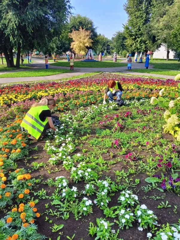 В ежедневном режиме продолжаются плановые работы по содержанию города