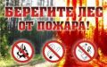 Жаркие выходные в Саратовской области: министр Константин Доронин поручил усилить наблюдение за лесами
