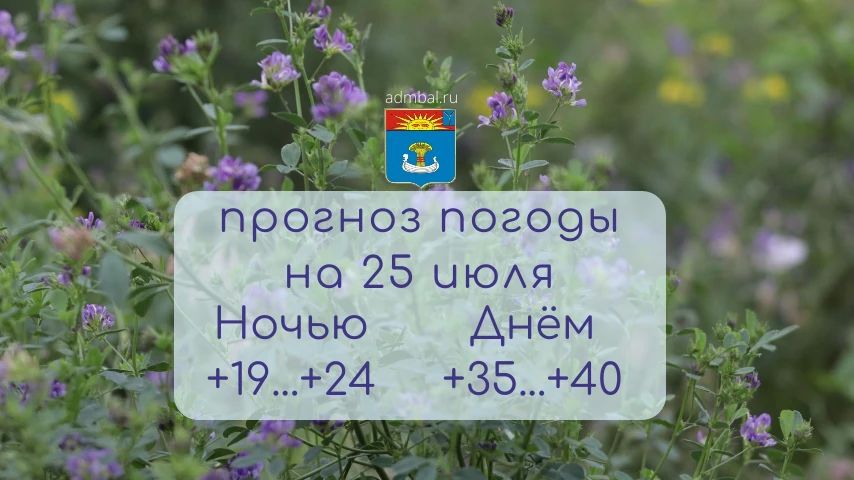 Прогноз погоды на 25 июля 2026 года