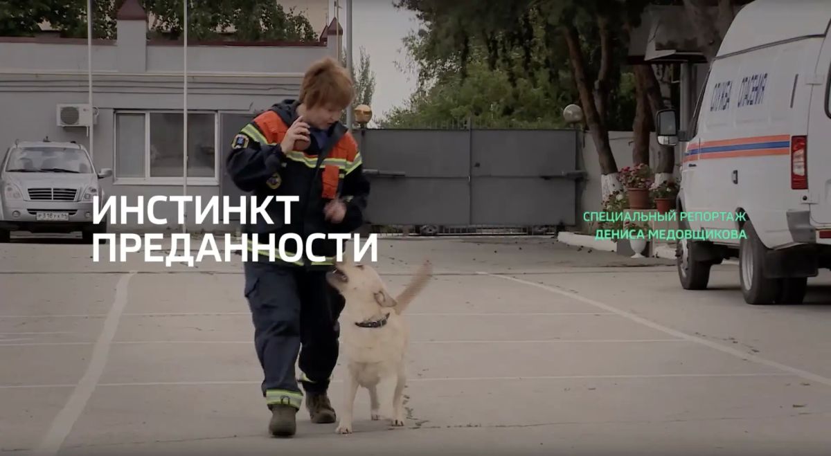 Специальный репортаж. «Инстинкт преданности»