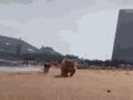 На этой неделе саратовцев ждут кратковременные дожди