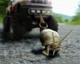 Как превратить мечты в реальность: 7 шагов к невозможному