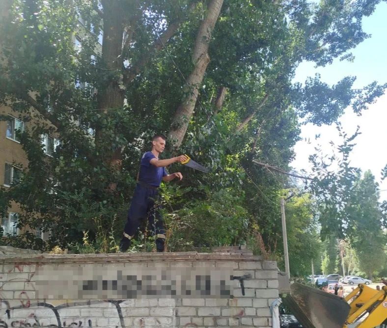 Во исполнение поручения главы района Максима Леонова профильными службами активизирована работа по комплексному благоустройству нескольких кварталов, которые находятся вблизи «Бульвара роз» Во исполнение поручения главы района Максима Леонова профильными службами активизирована работа по комплексному благоустройству нескольких кварталов, которые находятся вблизи «Бульвара роз»