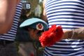 В Балаково состоялись памятные и торжественные мероприятия, приуроченные к 96-й годовщине со дня образования Воздушно-десантных войск Российской Федерации
