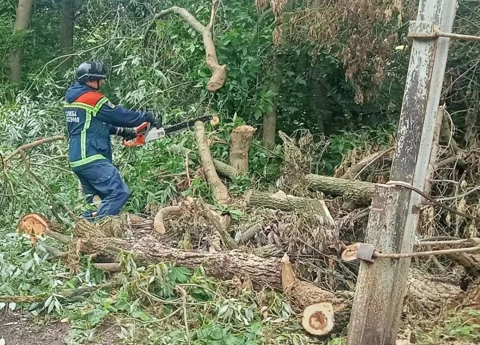 189 жителей региона обратились в службу спасения Саратовской области за последнюю неделю 189 жителей региона обратились в службу спасения Саратовской области за последнюю неделю