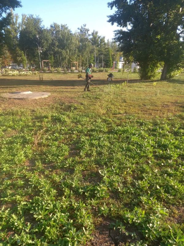 В Балаково продолжаются плановые работы по благоустройству В Балаково продолжаются плановые работы по благоустройству