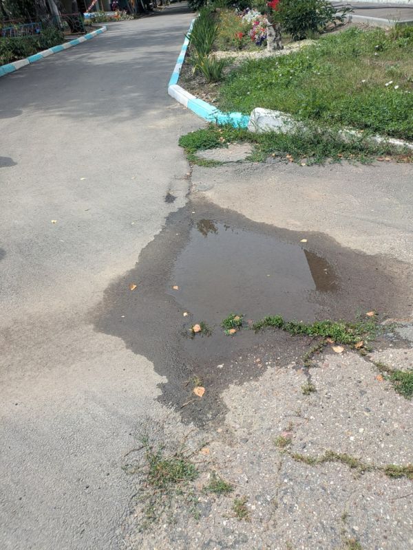 В детсадах № 11, 30 и 20, которые осмотрели проверяющие, выявлены общие нарушения: проросшая трава на отмостках, трещины и разломы на них В детсадах № 11, 30 и 20, которые осмотрели проверяющие, выявлены общие нарушения: проросшая трава на отмостках, трещины и разломы на них