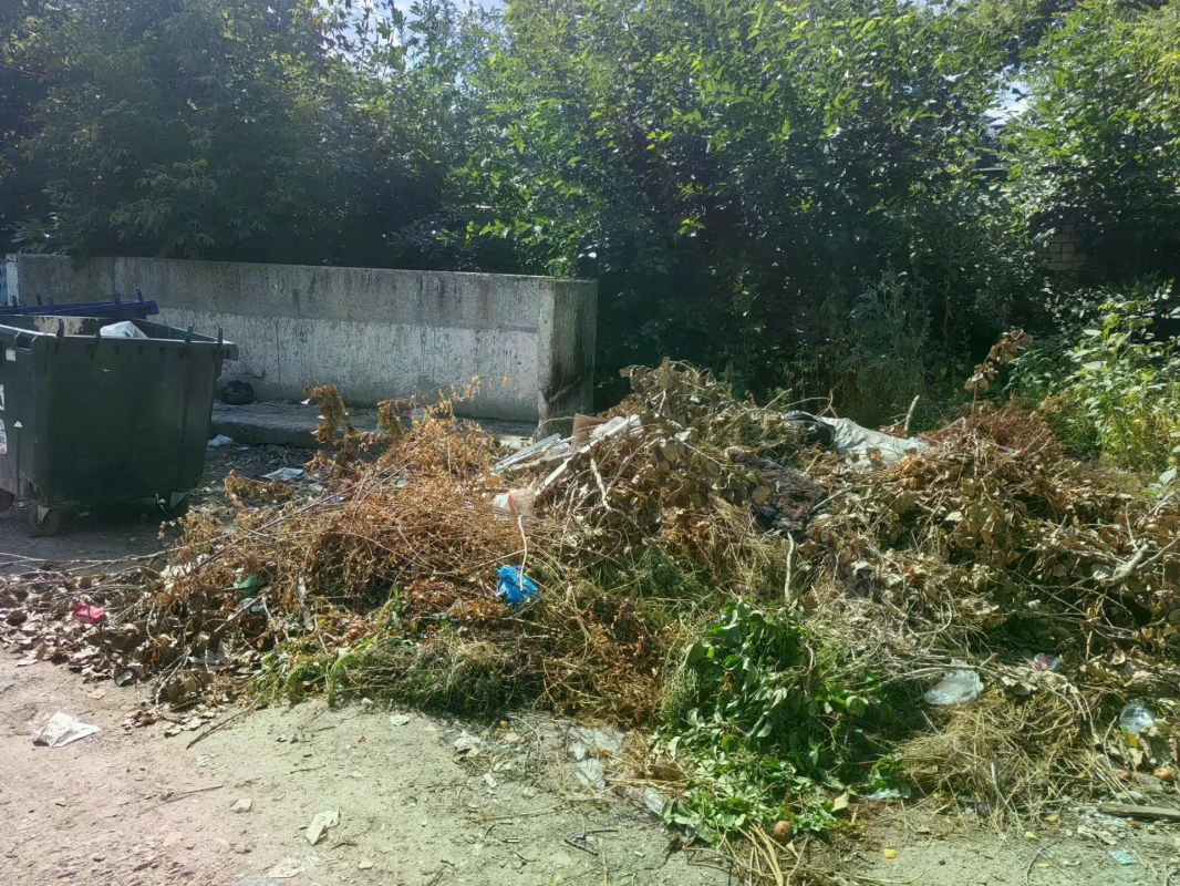 Контроль за надлежащим содержанием контейнерных площадок Контроль за надлежащим содержанием контейнерных площадок
