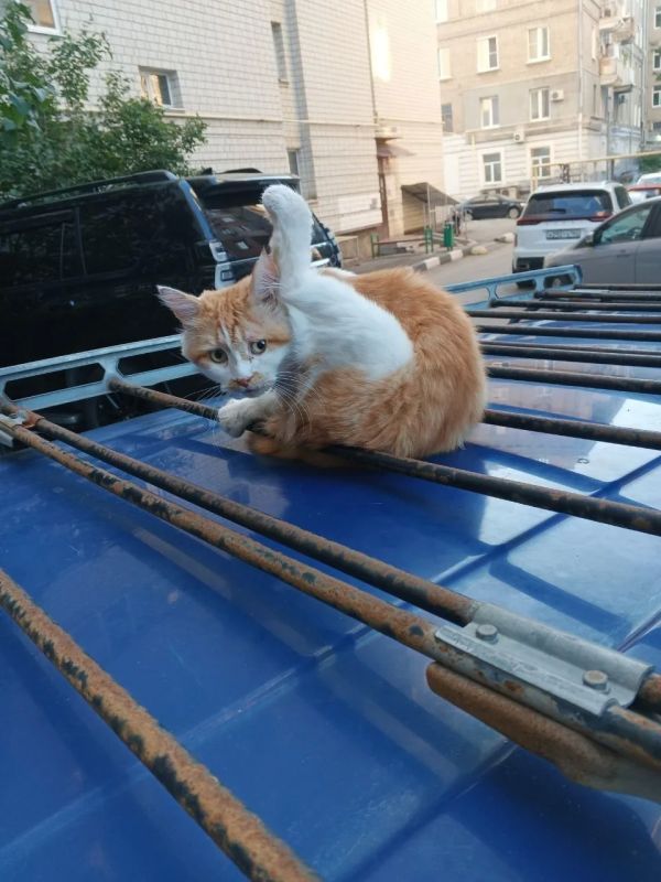 Прогноз погоды на 8 августа в Саратовской области Прогноз погоды на 8 августа в Саратовской области