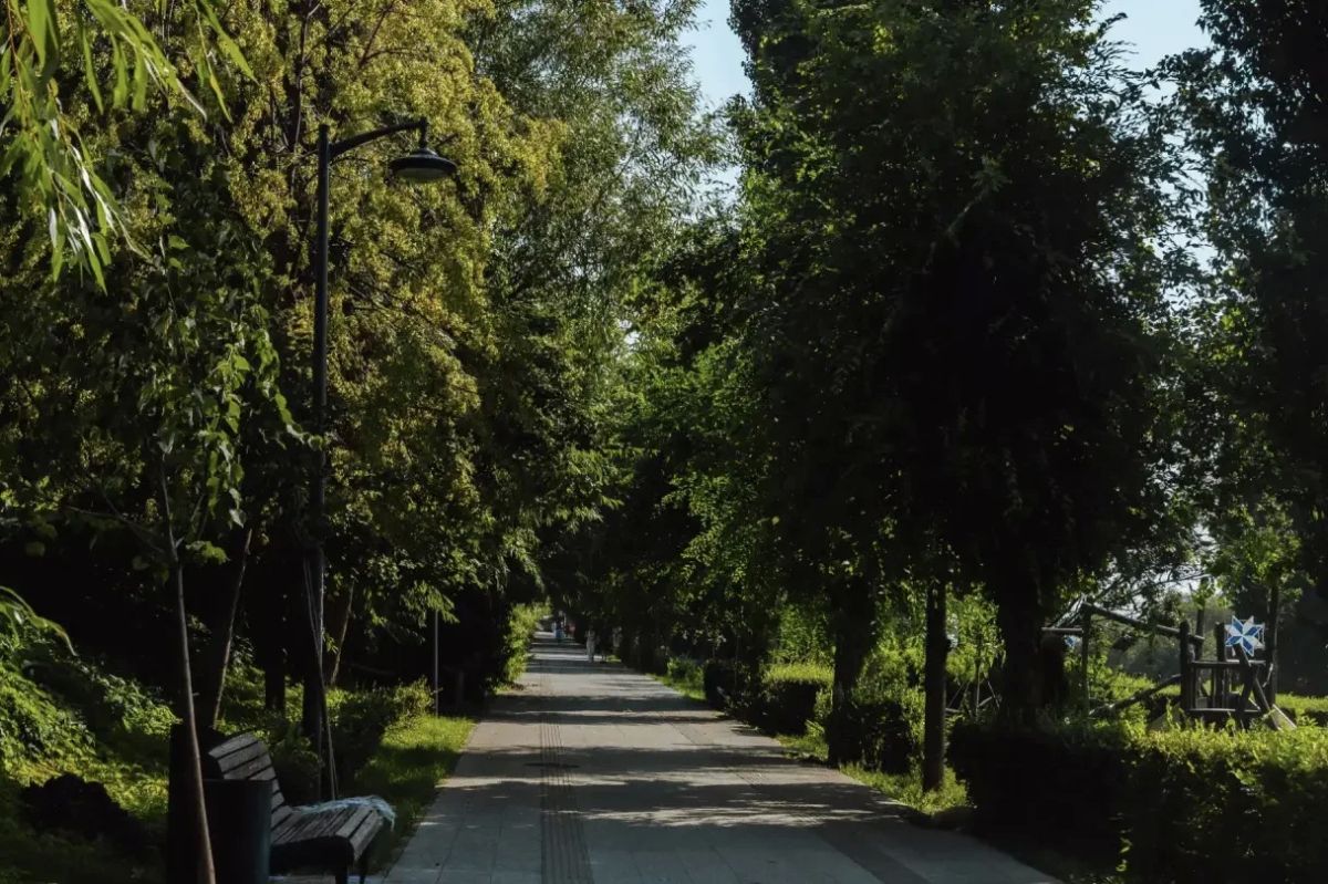 Саратов в кадре Саратов в кадре