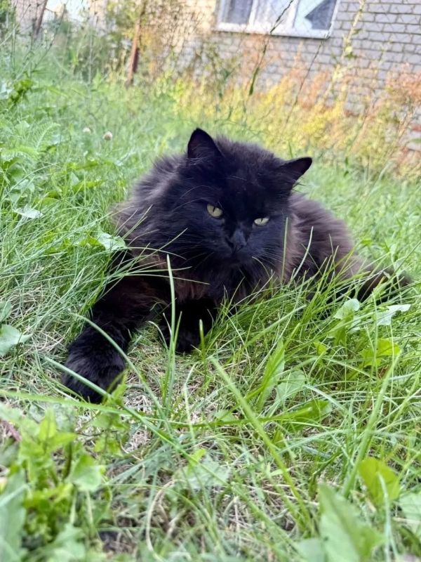 Погода в Саратовской области на 10 августа