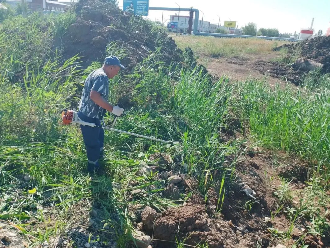 Покос камыша и сорной растительности Покос камыша и сорной растительности