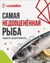 Неизвестные сокровища подводного мира: изучаем недооцененные виды рыбы