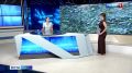 Какая погода ждет саратовцев на этой неделе?