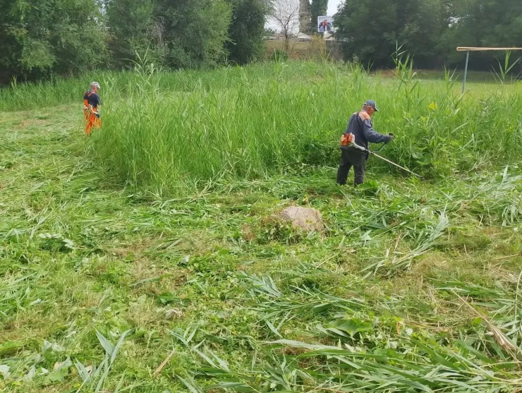 Покос камыша и сорной растительности Покос камыша и сорной растительности