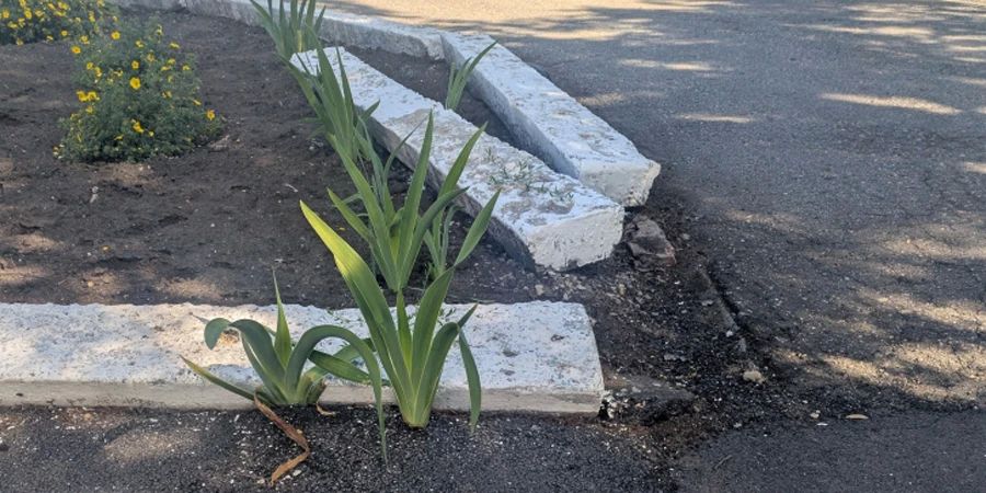 Дорожника из Хвалынска подозревают в мошенничестве с госконтрактами