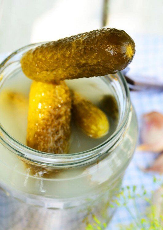 Как квасить огурцы в банках: вкусный рецепт с горчицей для хрустящих закусок