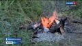 До 31 октября в лесах Саратовской области действует особый противопожарный режим