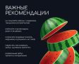 Сочный арбуз — одно из самых желанных летних лакомств!