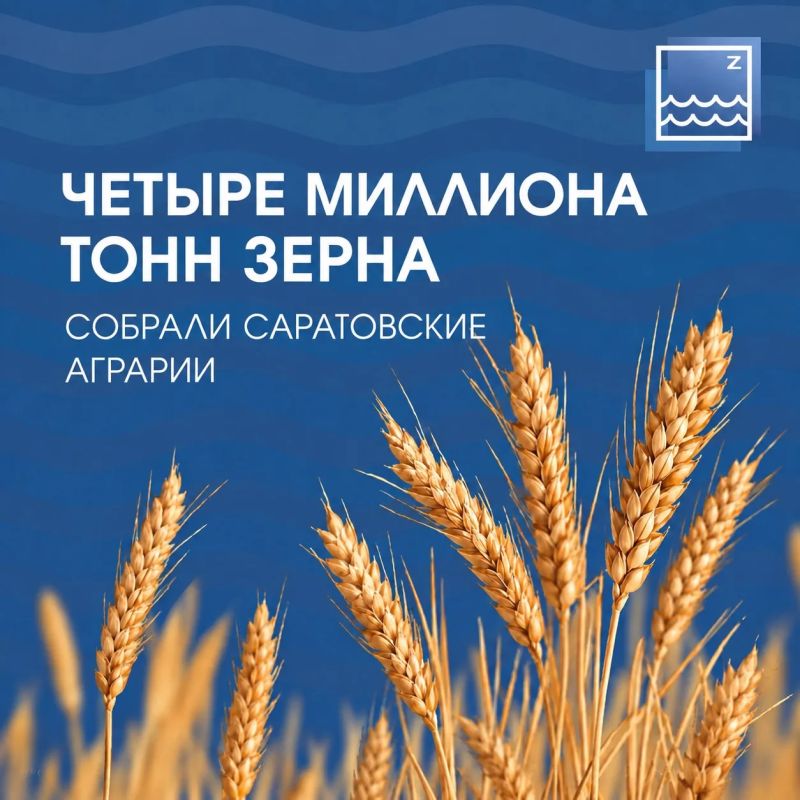 #ЦИФРАДНЯ. 4 МЛН ТОНН ЗЕРНА СОБРАЛИ САРАТОВСКИЕ АГРАРИИ Уборочная кампания в Саратовской области продолжается