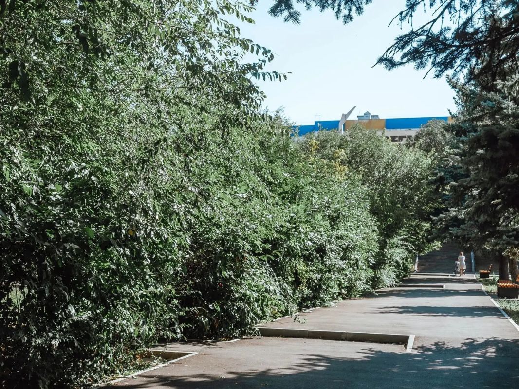 Парк «Территория детства» становится всё более уютным и ухоженным Парк «Территория детства» становится всё более уютным и ухоженным