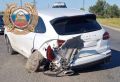 ������ ����� 13.08.2026 �� ���������� ����������� ������� �� ��������� ����� ���������������� 4 ���, � ������� 5 ������� �������� �������
