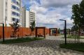 Саратов в кадре