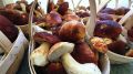 Как сохранить аромат и вкус белых грибов на зиму: советы профессионалов