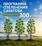 Роман Бусаргин: В Саратове осенью будет высажено еще 300 крупномеров клена, вяза и тополя в рамках региональной программы озеленения города