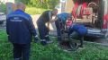 Канализация — не мусорное ведро