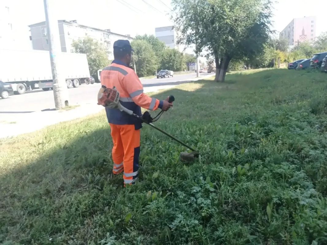 Приводим зеленые зоны города в порядок, косим газоны, камыш и сорную растительность Покос травы проводим триммерами и с применением специализированной техники с навесным оборудованием «Коса» Приводим зеленые зоны города в порядок, косим газоны, камыш и сорную растительность Покос травы проводим триммерами и с применением специализированной техники с навесным оборудованием «Коса»
