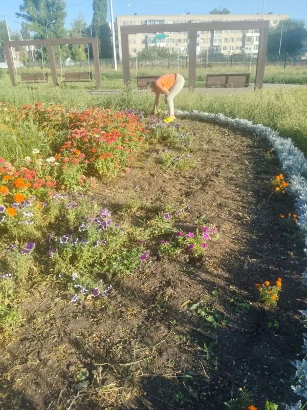 Благоустройство города ведется в ежедневном режиме Благоустройство города ведется в ежедневном режиме