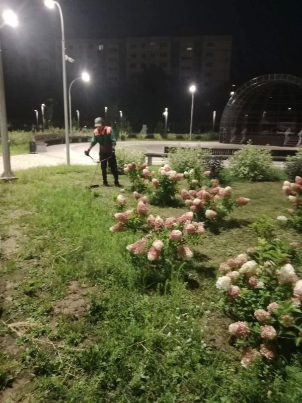 В Балаково продолжаются плановые работы по благоустройству города В Балаково продолжаются плановые работы по благоустройству города