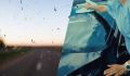 Эффективные и бюджетные способы чистки лобового стекла от насекомых