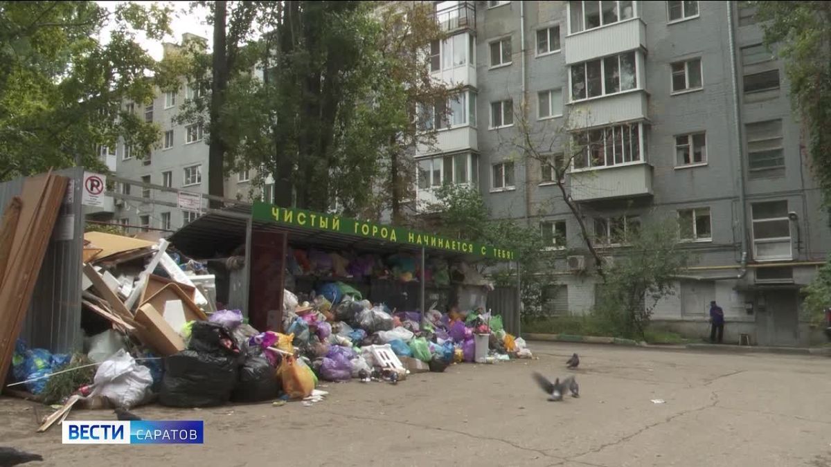 Ужасный запах, крысы, насекомые – антисанитария