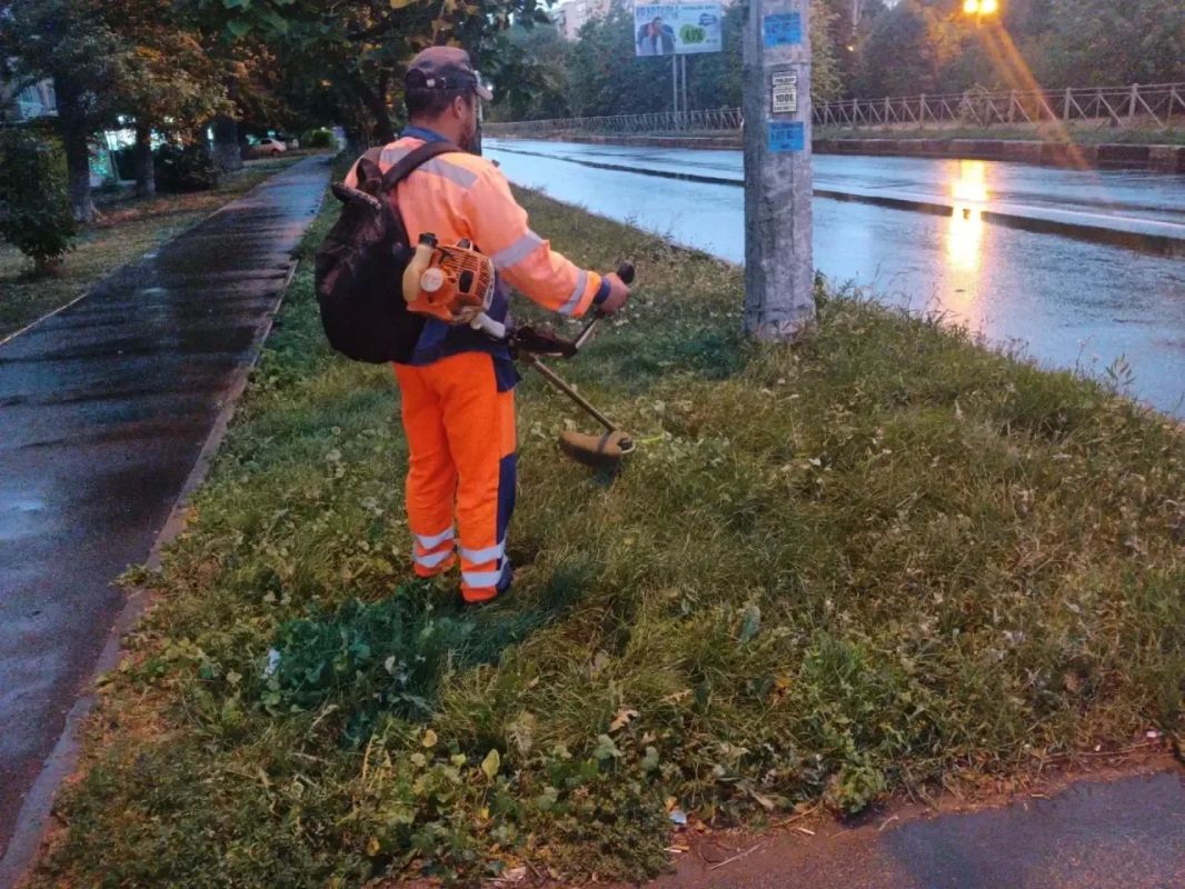 Приводим зеленые зоны города в порядок, косим газоны, камыш и сорную растительность Покос травы проводим триммерами и с применением специализированной техники с навесным оборудованием «Коса» Приводим зеленые зоны города в порядок, косим газоны, камыш и сорную растительность Покос травы проводим триммерами и с применением специализированной техники с навесным оборудованием «Коса»