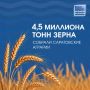 #ЦифраДня. Саратовские аграрии собрали более 4,5 млн тонн зерна