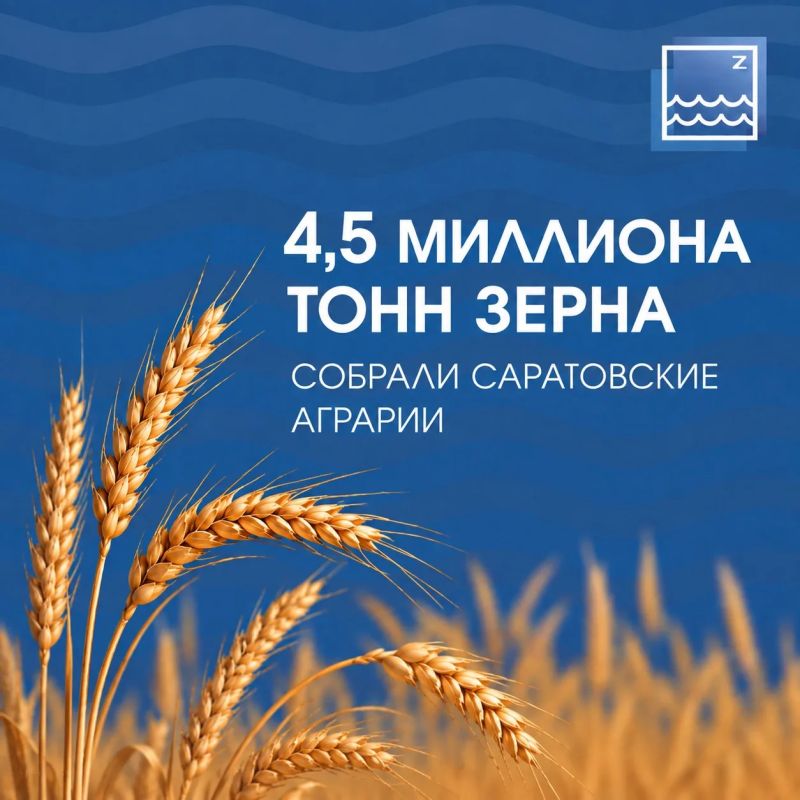 #ЦифраДня. Саратовские аграрии собрали более 4,5 млн тонн зерна