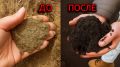 Как преобразовать глиняную почву без лишних усилий: простой метод с гипсом