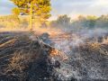 Напоминаем, в случае обнаружения лесного пожара необходимо незамедлительно проинформировать об этом