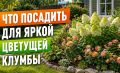�������� �����: ��� �������� ���� �� ������ �������