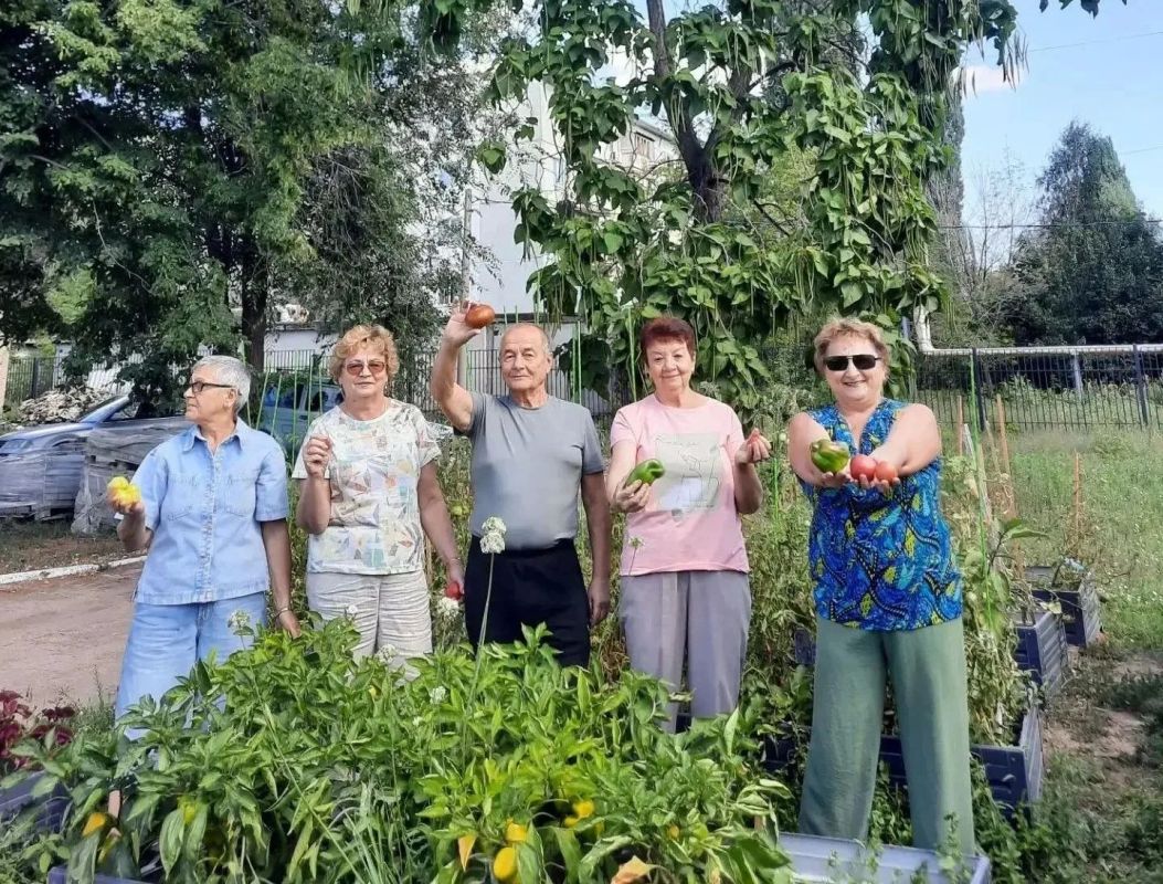 В теплице комплексного центра соцобслуживания Энгельсского района расцветают урожай и хорошее настроение В теплице комплексного центра соцобслуживания Энгельсского района расцветают урожай и хорошее настроение