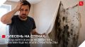 Как предотвратить плесень и грибок на стенах: ключевые советы