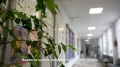 #ЕДГ2026. Совместно с Ростелекомом обеспечивается сплошной видеоконтроль Видеонаблюдение с трансляцией на служебный портал организовано в 583 участковых избирательных комиссиях и во всех 47 территориальных комиссиях