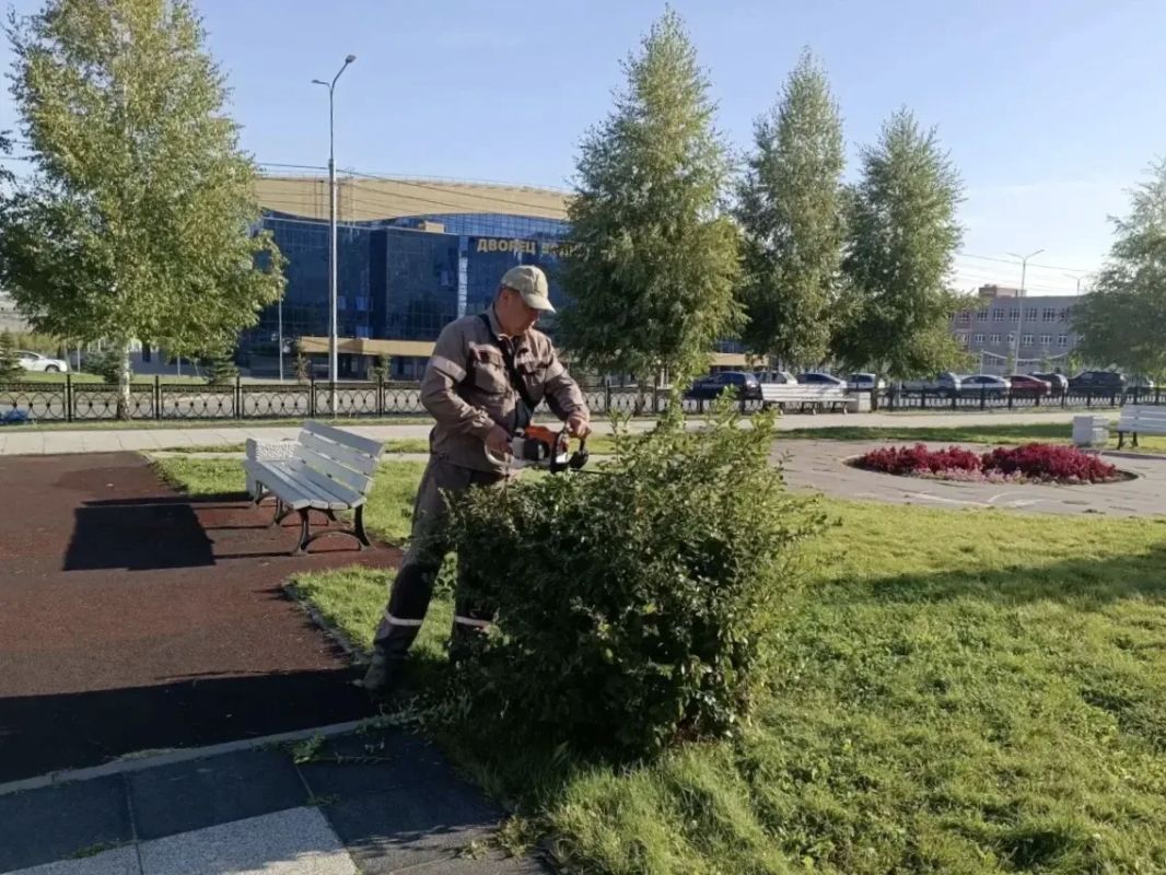 Уборка города. Коммунальные службы осуществляют уборку дорог и тротуаров, мойку и ремонт остановочных павильонов, уход за зелеными зонами, подбор мусора, а также ремонт дорожных знаков и ограждений Уборка города. Коммунальные службы осуществляют уборку дорог и тротуаров, мойку и ремонт остановочных павильонов, уход за зелеными зонами, подбор мусора, а также ремонт дорожных знаков и ограждений