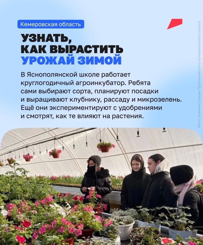 От школьного кабинета до будущей профессии От школьного кабинета до будущей профессии