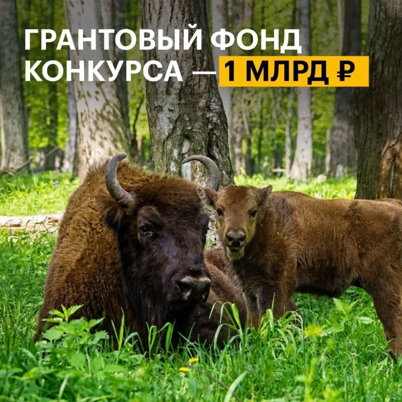 Экологические проекты из Саратова могут получить поддержку из грантового фонда в 1 млрд рублей Экологические проекты из Саратова могут получить поддержку из грантового фонда в 1 млрд рублей