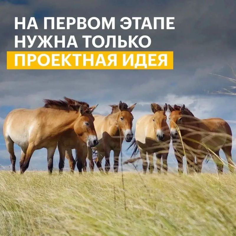 Экологические проекты из Саратова могут получить поддержку из грантового фонда в 1 млрд рублей Экологические проекты из Саратова могут получить поддержку из грантового фонда в 1 млрд рублей