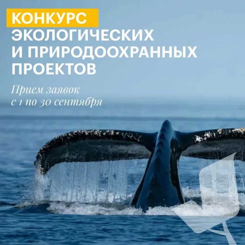 Экологические проекты из Саратова могут получить поддержку из грантового фонда в 1 млрд рублей Экологические проекты из Саратова могут получить поддержку из грантового фонда в 1 млрд рублей
