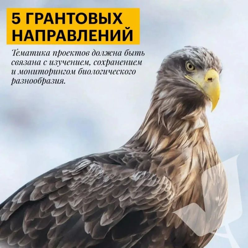 Экологические проекты из Саратова могут получить поддержку из грантового фонда в 1 млрд рублей Экологические проекты из Саратова могут получить поддержку из грантового фонда в 1 млрд рублей